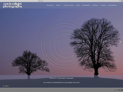crackedlight.com snapshot