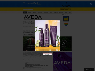 terenceandrew.com snapshot