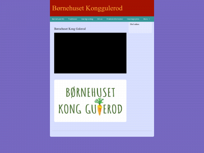 boernehusetkonggulerodprivatpasning.dk snapshot
