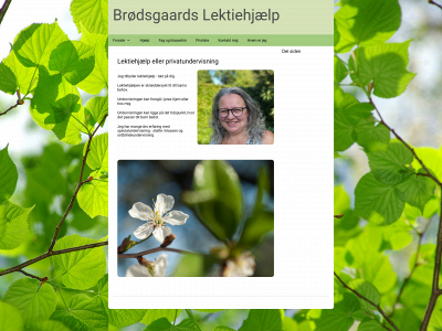 broedsgaardslektiehjaelp.dk snapshot