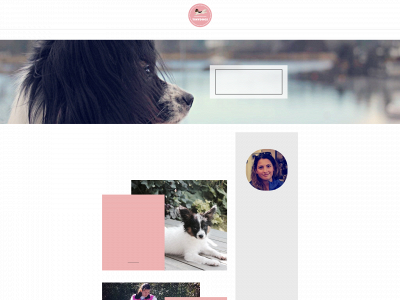 tinydogs.no snapshot