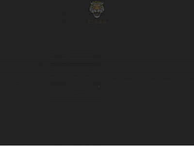 tigerhairlounge.com snapshot