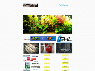 andersoglone.dk snapshot