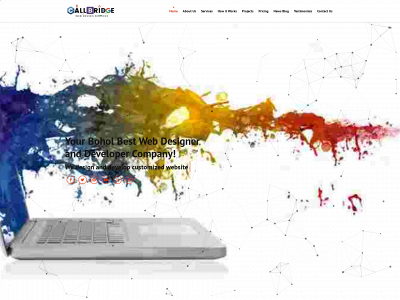 callbridgewebdesign.com snapshot