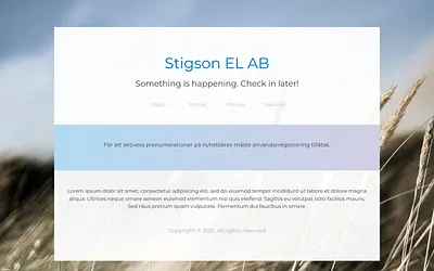 stigsonel.se snapshot