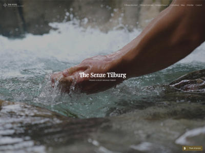 thesenze.nl snapshot