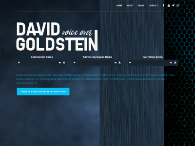 davidgoldsteinvo.com snapshot