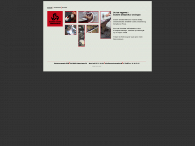scotwinsmedie.dk snapshot