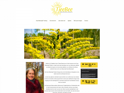 tjeebee.nl snapshot