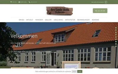 dengamleskoleasnaes.dk snapshot