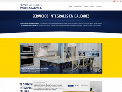 serviciosintegralesmanuelgallego.com snapshot