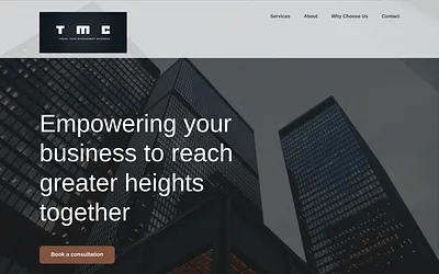 thrivemanagementconsulting.com snapshot