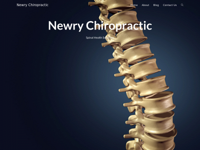 newrychiropractic.com snapshot