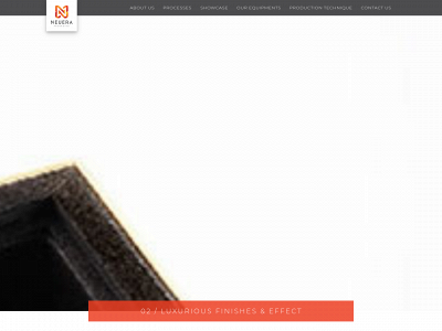 neuerapackaging.com snapshot