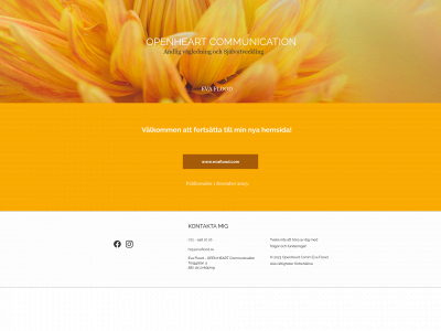evaflood.se snapshot