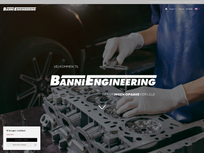 banni-engineering.com snapshot