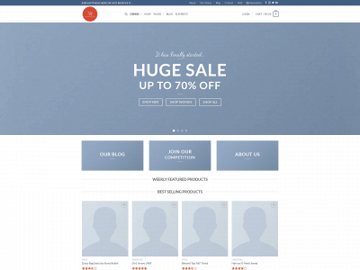 pamenterprises.com snapshot