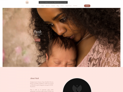 pushbirthpartners.com snapshot
