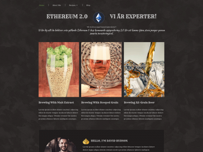 ethereum2.se snapshot