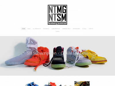 www.netmagnetism.com snapshot