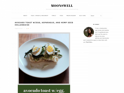 moonswell.com snapshot