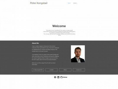 pkongstad.com snapshot