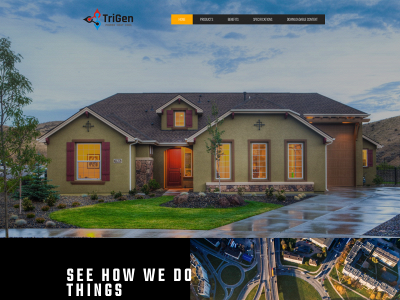 trigentech.com snapshot