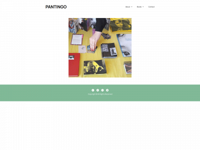 pantingo.com snapshot