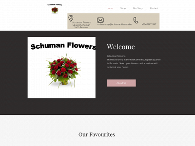 schumanflowers.be snapshot