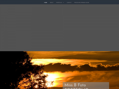 miss-b-foto.dk snapshot