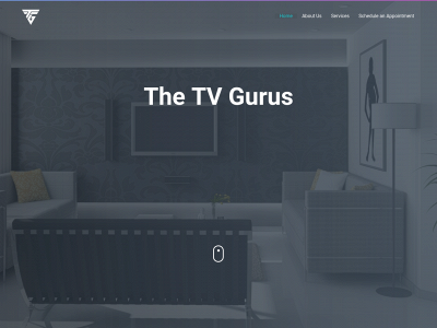 thetvgurus.com snapshot