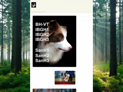 doblo.ch snapshot