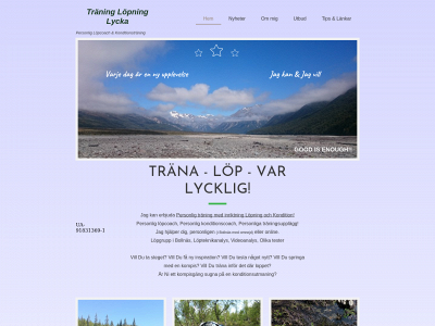 traninglopninglycka.se snapshot