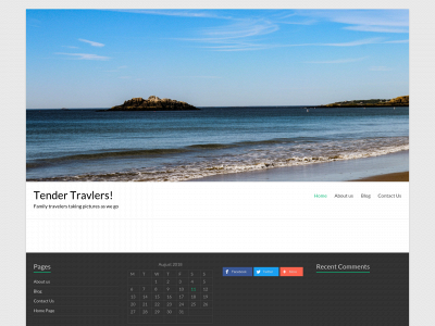 tendertravelers.com snapshot