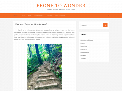 pronetowonder.com snapshot
