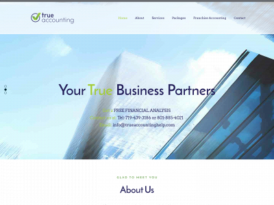 trueaccountinghelp.com snapshot