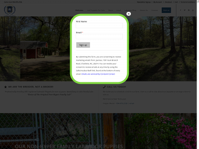 labpups.com snapshot