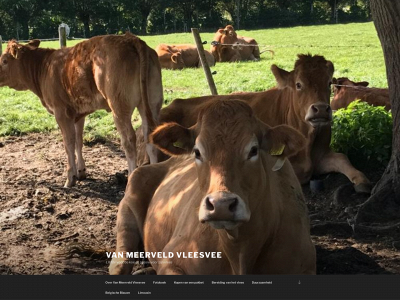 vanmeerveldvleesvee.nl snapshot