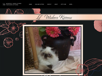 www.lilwiskerskittens.com snapshot
