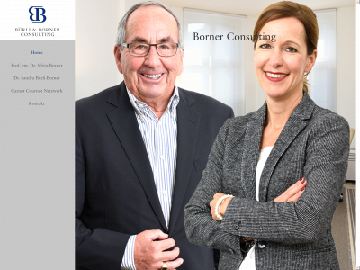 buerli-borner-consulting.ch snapshot