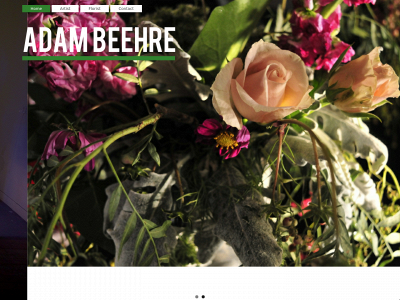 adambeehre.com snapshot