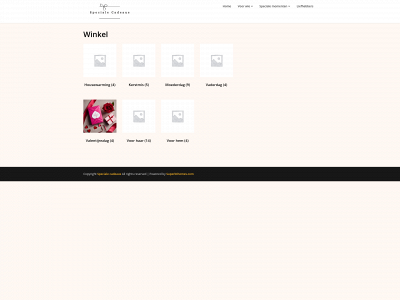 specialecadeaus.nl snapshot