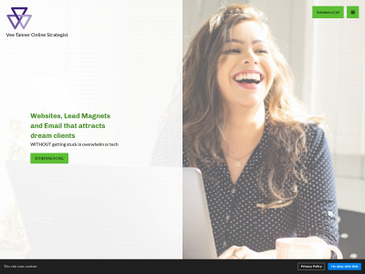 veetanner.com snapshot