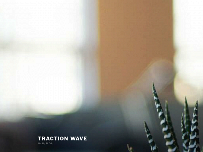 tractionwave.com snapshot