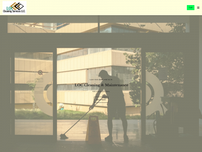 loccleaningservices.com snapshot