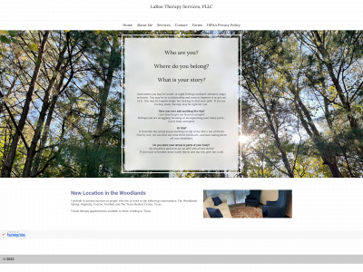 laroetherapyservicespllc.com snapshot