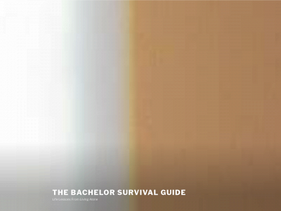 thebachelorsurvivalguide.com snapshot