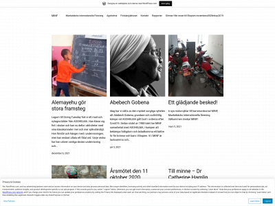 minf.se snapshot