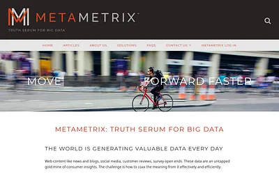 metametrixdata.com snapshot