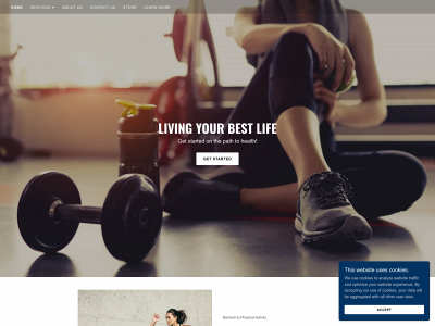 thefitnessnirvana.com.au snapshot